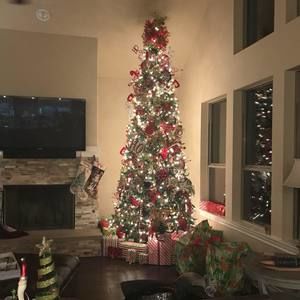 Meet your Posher, Tara